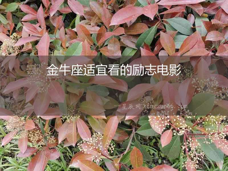 金牛座適宜看的勵志電影