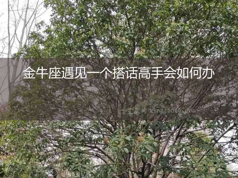 金牛座遇見一個搭話高手會如何辦