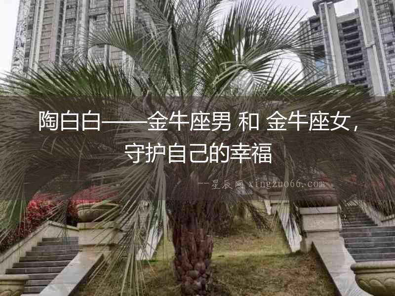 陶白白——金牛座男 和 金牛座女，守護自己的幸福
