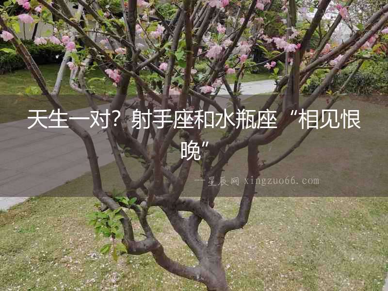 天生一對？射手座和水瓶座“相見恨晚”