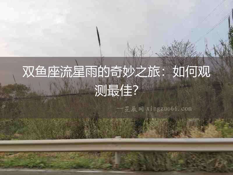 雙魚(yú)座流星雨的奇妙之旅：如何觀測(cè)最佳？