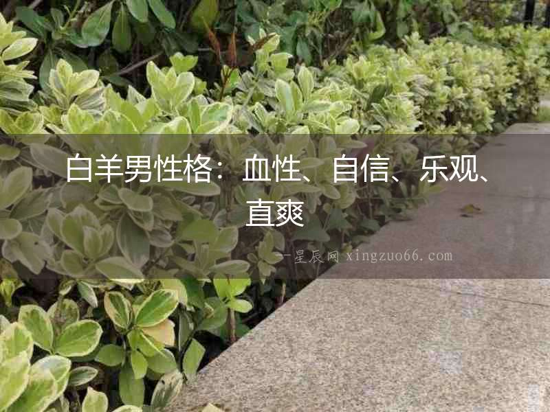 白羊男性格：血性、自信、樂觀、直爽