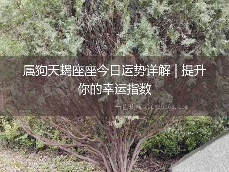屬狗天蝎座座今日運勢詳解 | 提升你的幸運指數(shù)
