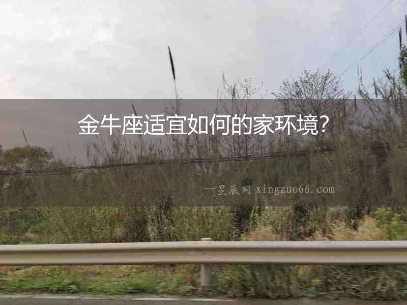 金牛座適宜如何的家環境？