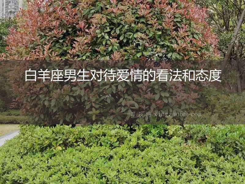 白羊座男生對待愛情的看法和態度