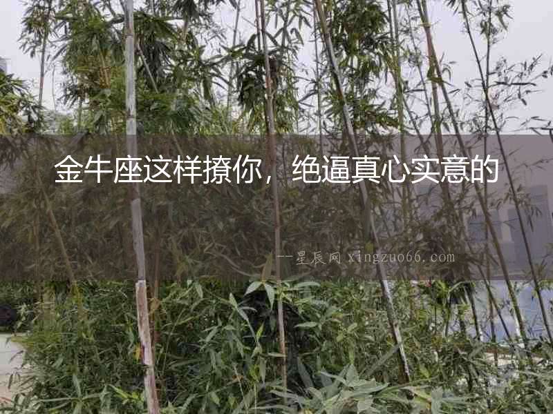 金牛座這樣撩你，絕逼真心實(shí)意的