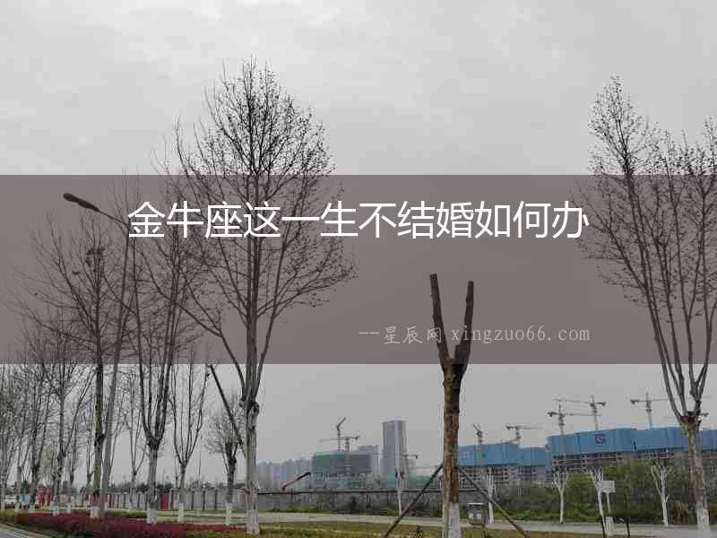 金牛座這一生不結婚如何辦