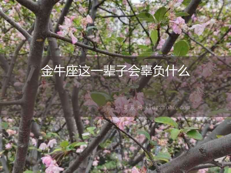 金牛座這一輩子會辜負什么