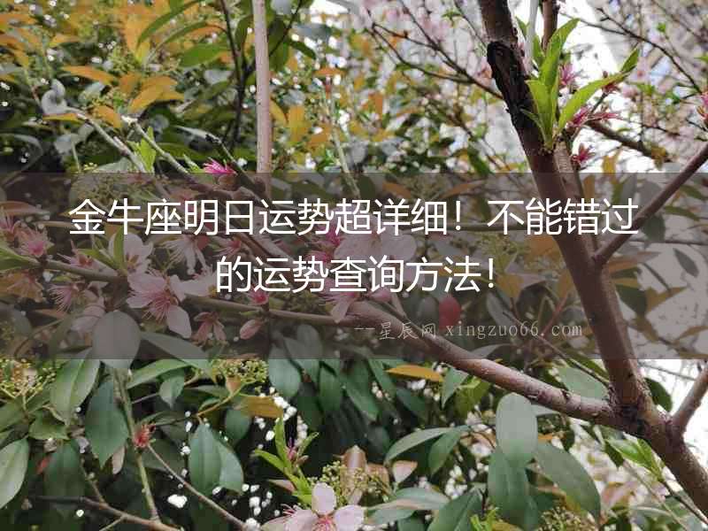 金牛座明日運勢超詳細！不能錯過的運勢查詢方法！
