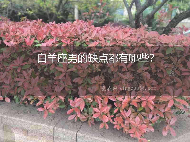 白羊座男的缺點(diǎn)都有哪些？