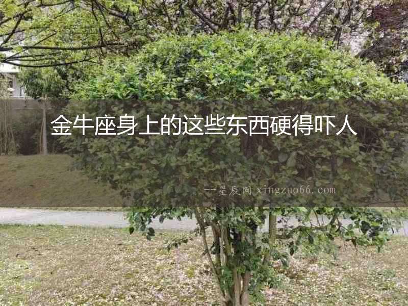 金牛座身上的這些東西硬得嚇人