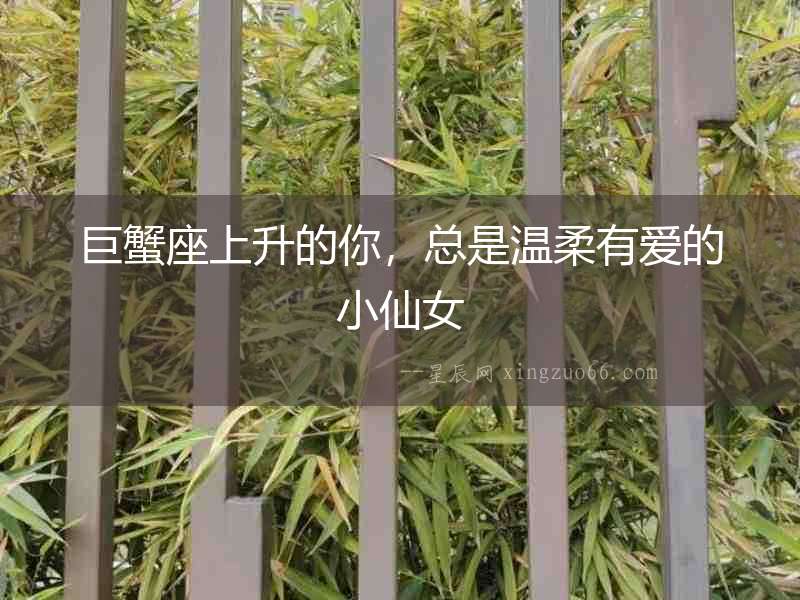 巨蟹座上升的你，總是溫柔有愛的小仙女