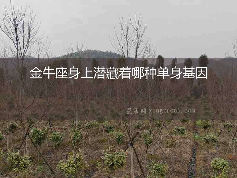 金牛座身上潛藏著哪種單身基因