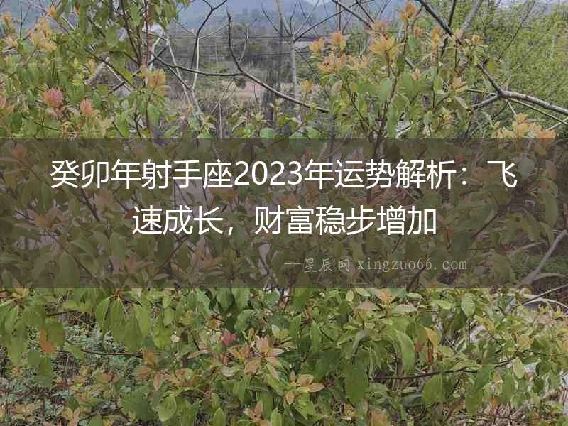 癸卯年射手座2023年運勢解析：飛速成長，財富穩(wěn)步增加