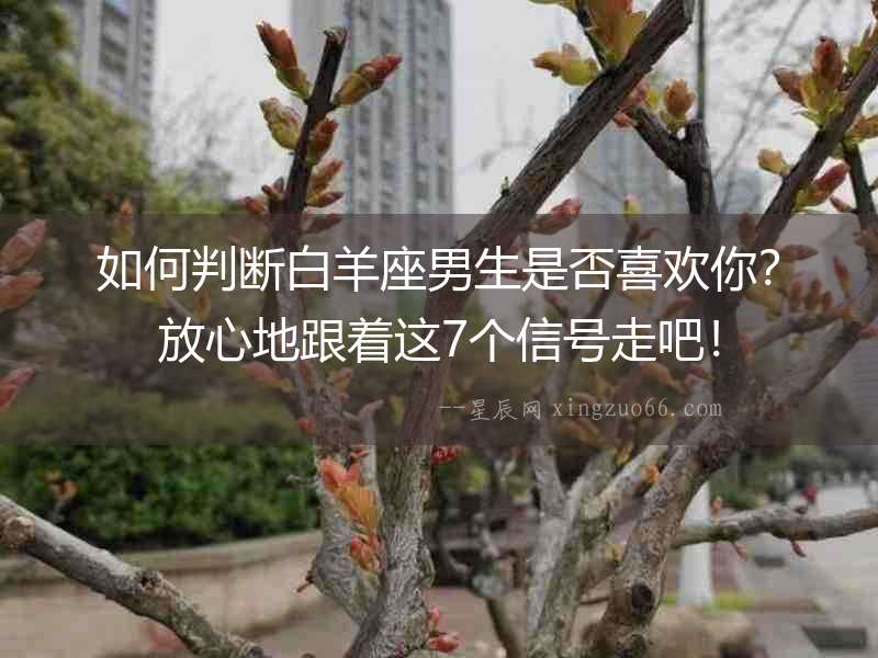 如何判斷白羊座男生是否喜歡你？放心地跟著這7個(gè)信號(hào)走吧！