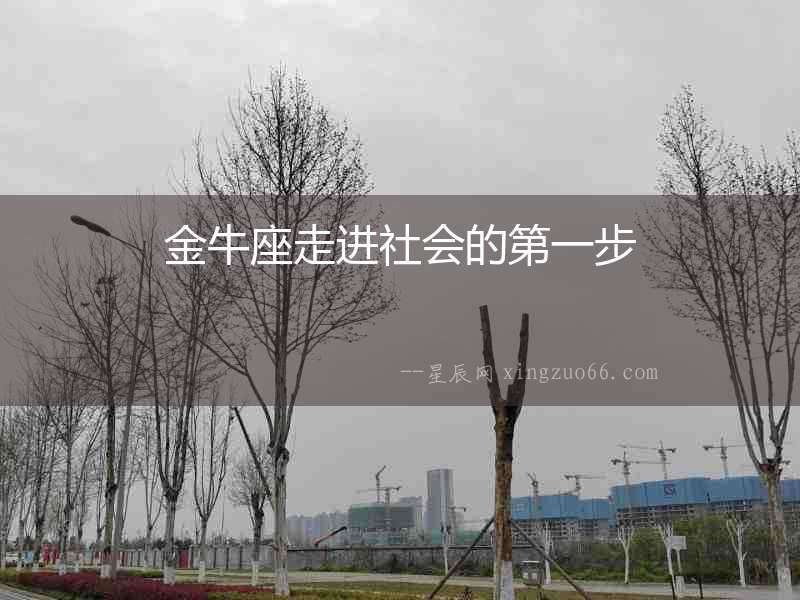 金牛座走進社會的第一步