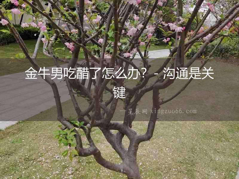 金牛男吃醋了怎么辦？- 溝通是關鍵