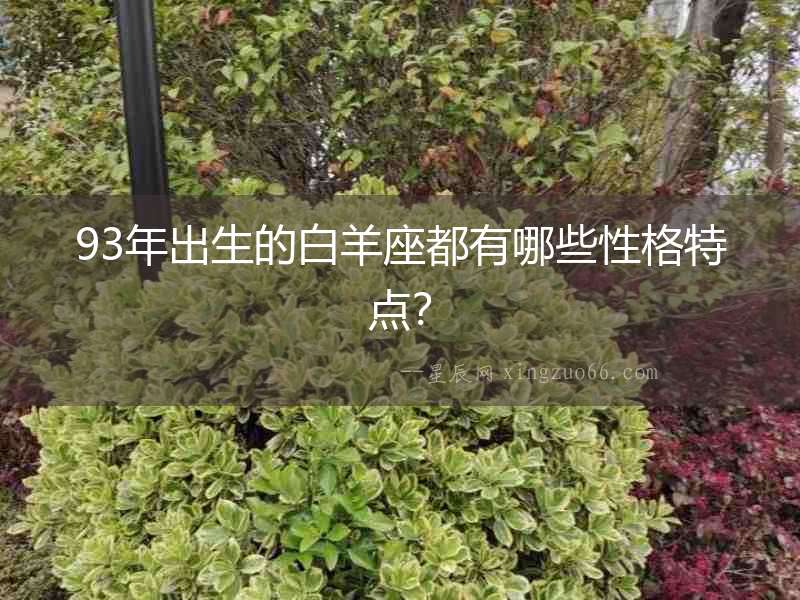 93年出生的白羊座都有哪些性格特點？