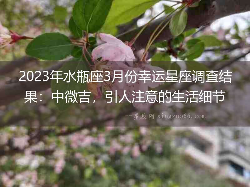 2023年水瓶座3月份幸運星座調查結果：中微吉，引人注意的生活細節！