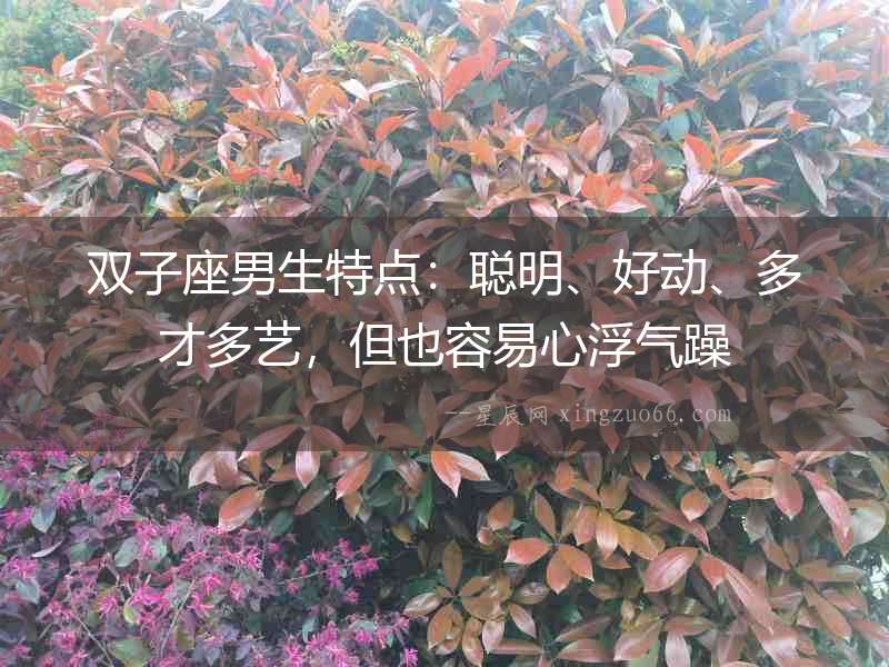 雙子座男生特點：聰明、好動、多才多藝，但也容易心浮氣躁