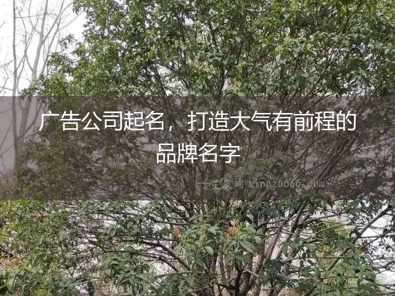 廣告公司起名，打造大氣有前程的品牌名字