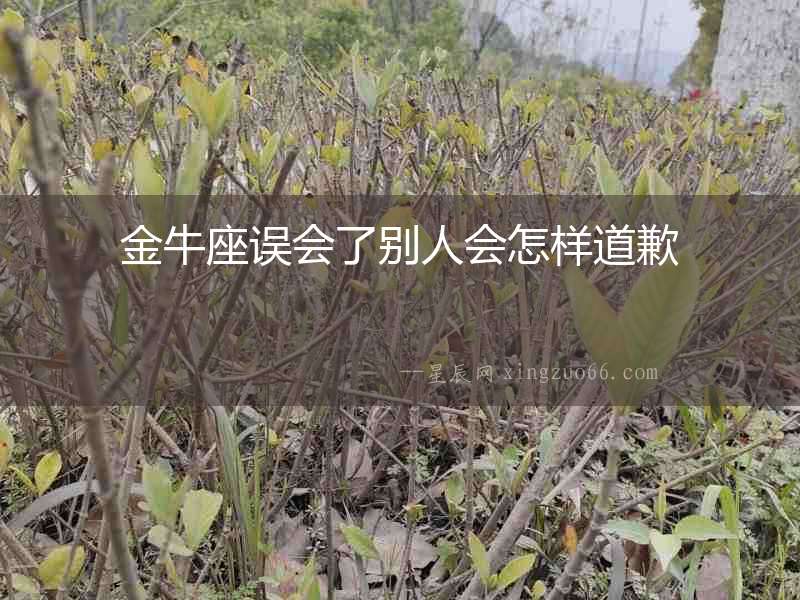 金牛座誤會(huì)了別人會(huì)怎樣道歉