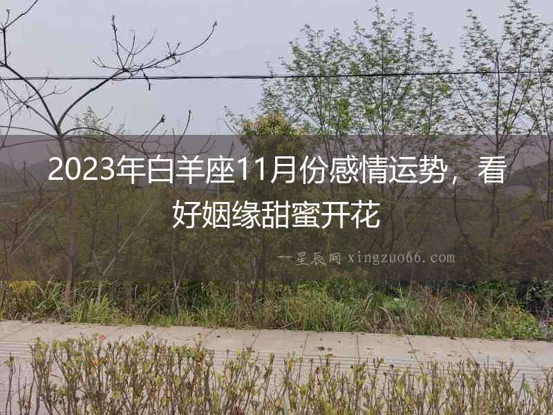 2023年白羊座11月份感情運勢，看好姻緣甜蜜開花