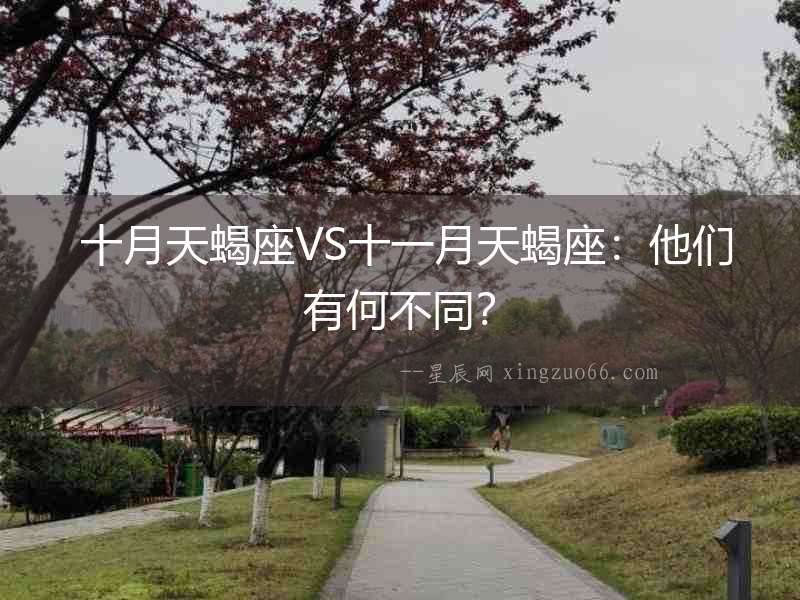  十月天蝎座VS十一月天蝎座：他們有何不同？