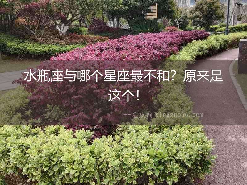 水瓶座與哪個星座最不和？原來是這個！