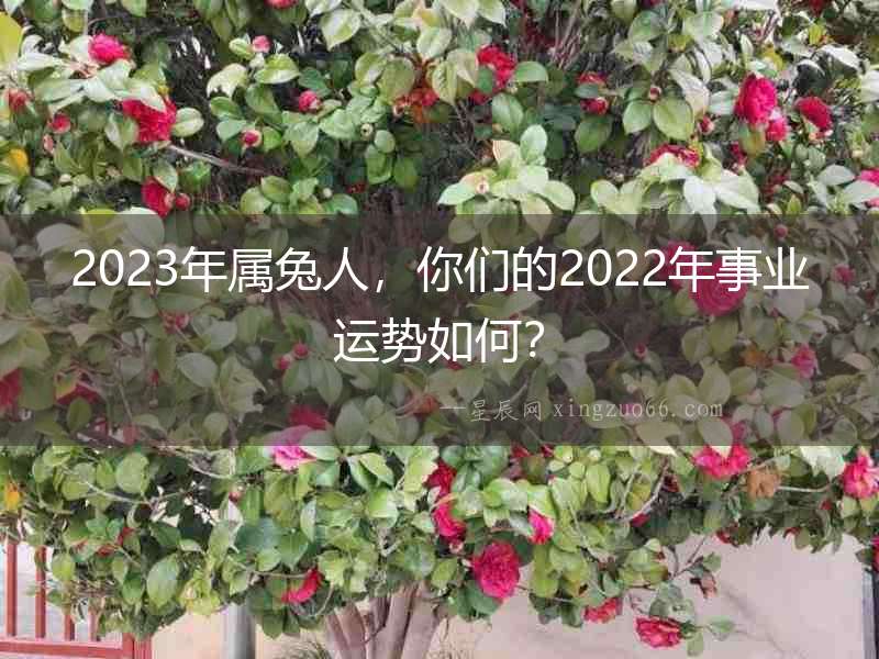 2023年屬兔人，你們的2022年事業(yè)運勢如何？