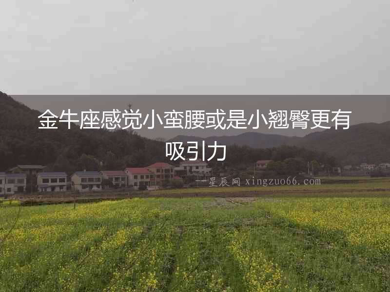 金牛座感覺小蠻腰或是小翹臀更有吸引力