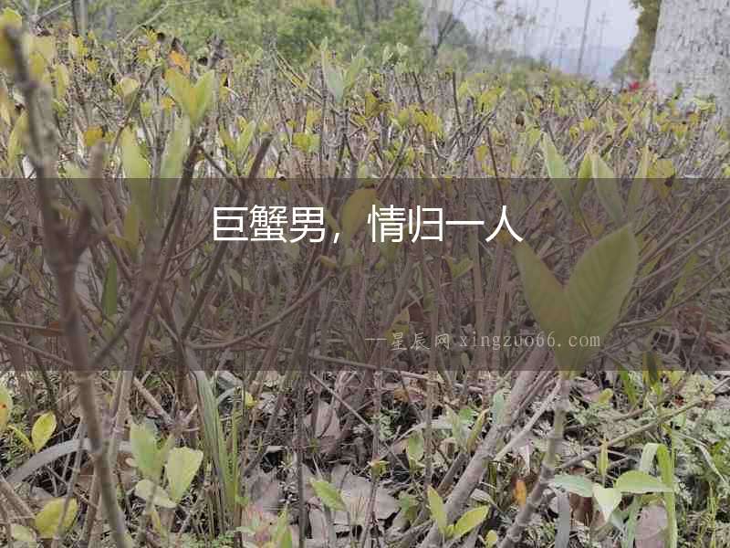 巨蟹男，情歸一人