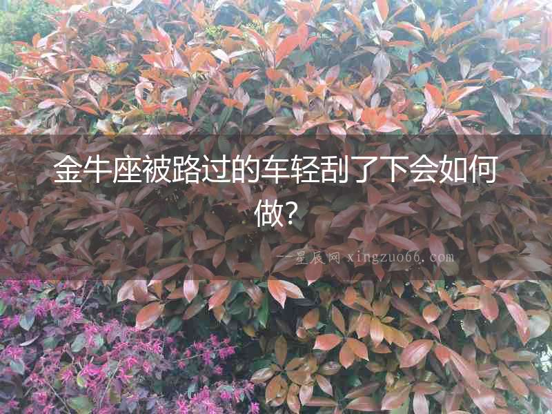 金牛座被路過的車輕刮了下會如何做？