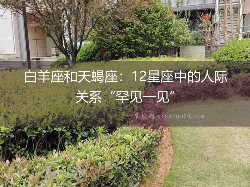 白羊座和天蝎座：12星座中的人際關系“罕見一見”