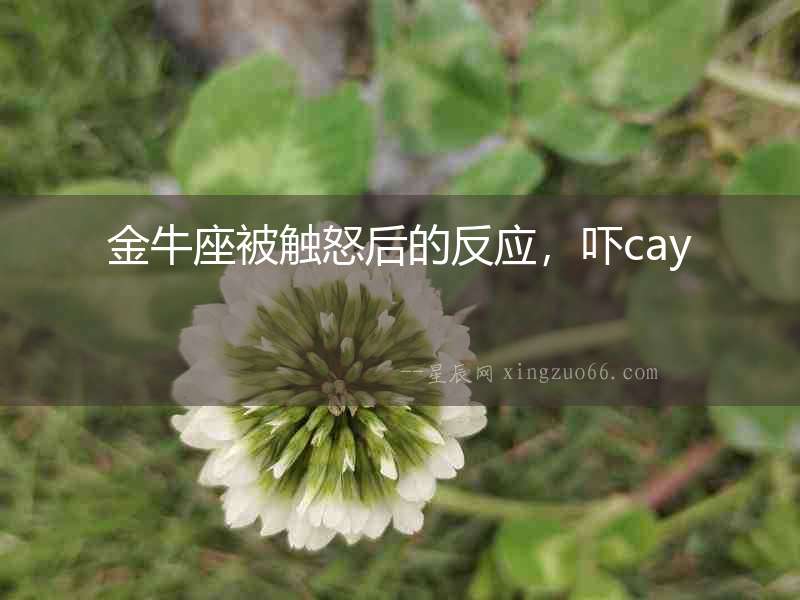金牛座被觸怒后的反應，嚇cay