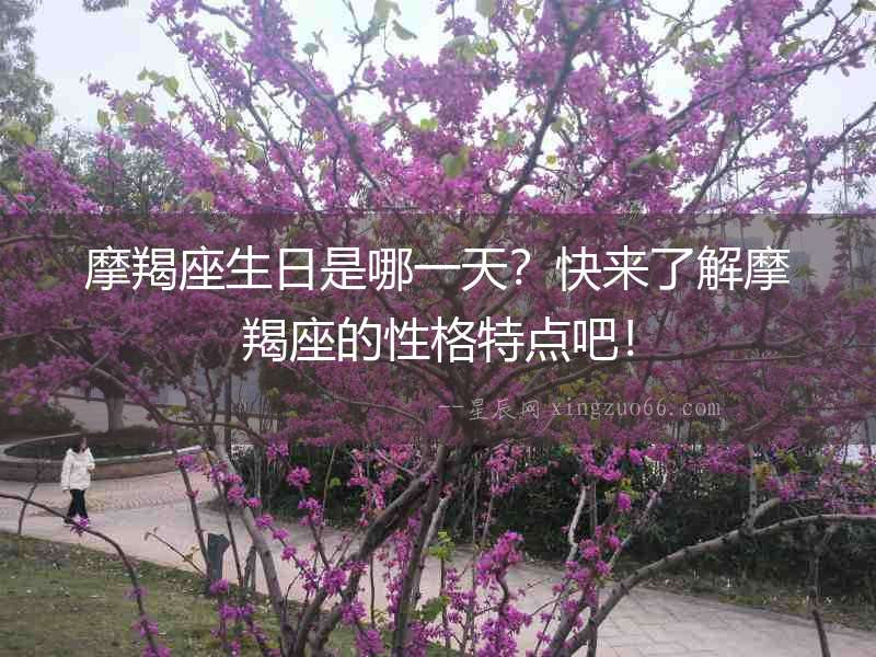 摩羯座生日是哪一天？快來了解摩羯座的性格特點吧！