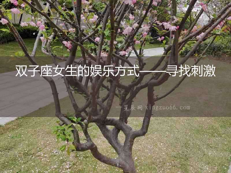 雙子座女生的娛樂方式——尋找刺激