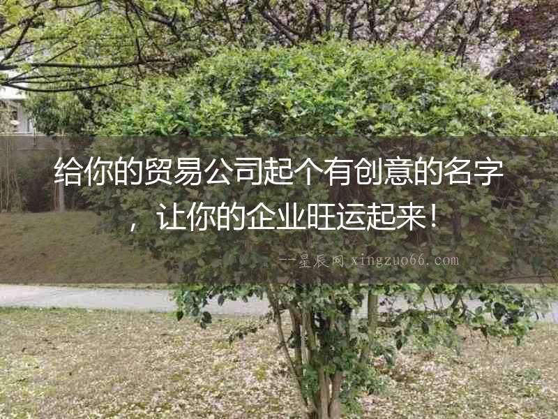 給你的貿易公司起個有創意的名字，讓你的企業旺運起來！