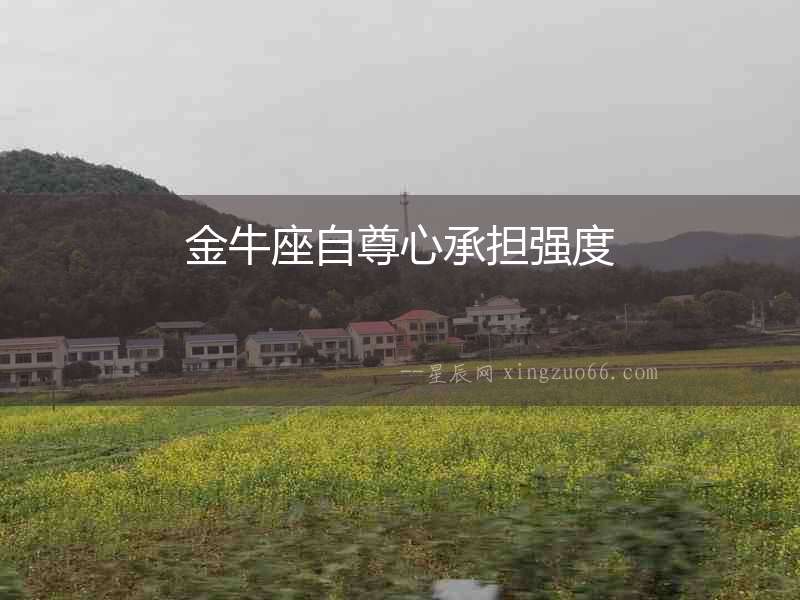 金牛座自尊心承擔強度