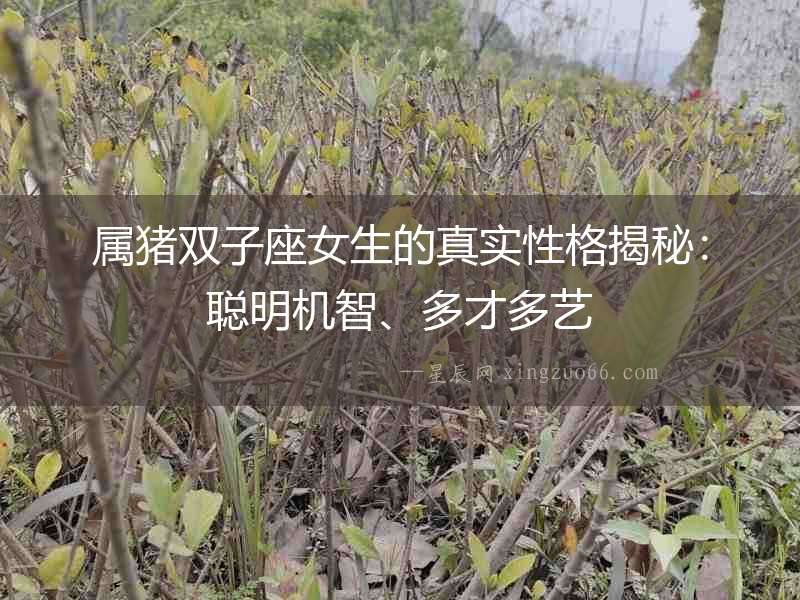 屬豬雙子座女生的真實(shí)性格揭秘：聰明機(jī)智、多才多藝