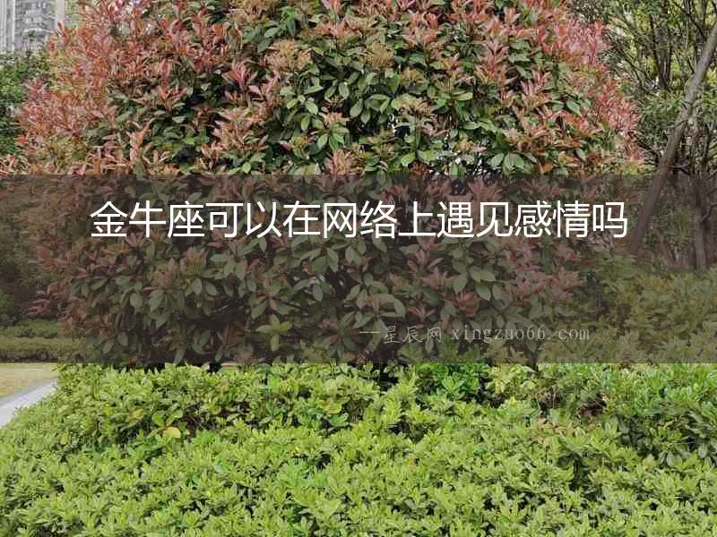 金牛座可以在網(wǎng)絡(luò)上遇見感情嗎
