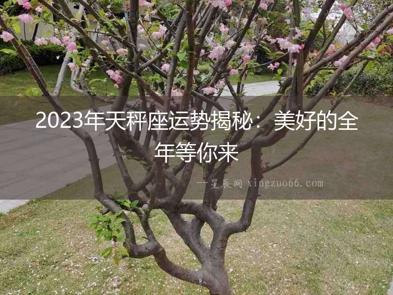 2023年天秤座運勢揭秘：美好的全年等你來