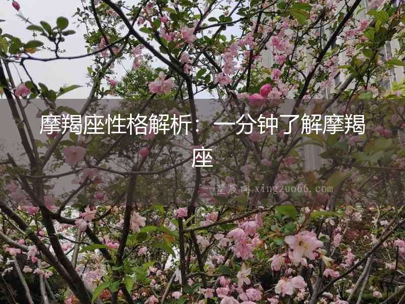 摩羯座性格解析：一分鐘了解摩羯座
