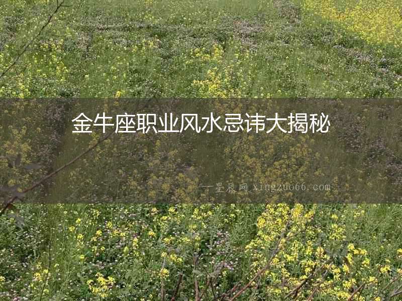 金牛座職業(yè)風(fēng)水忌諱大揭秘