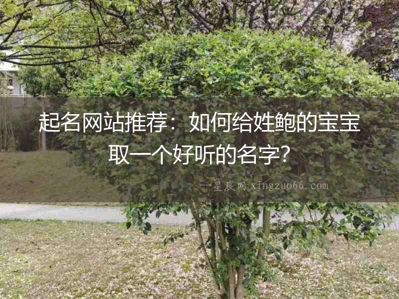 起名網站推薦：如何給姓鮑的寶寶取一個好聽的名字？