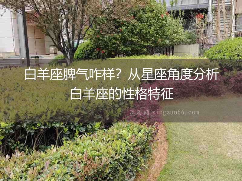 白羊座脾氣咋樣？從星座角度分析白羊座的性格特征