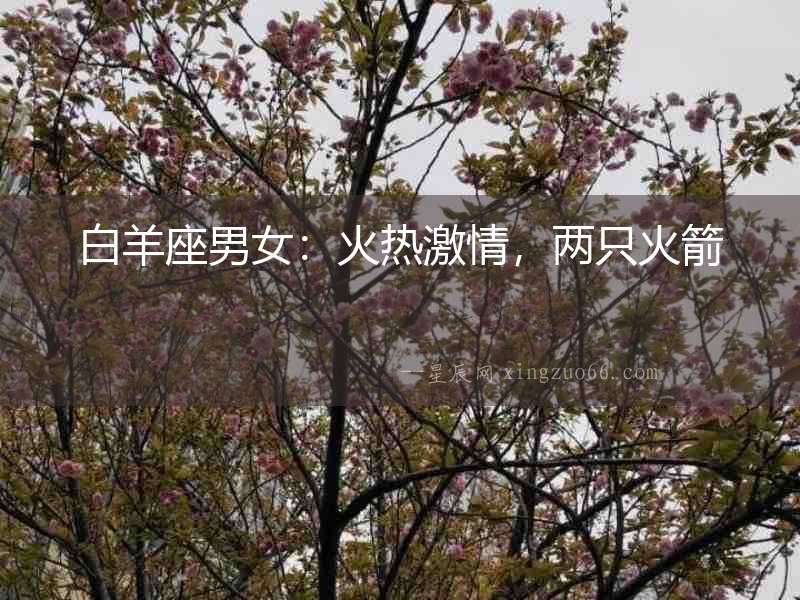 白羊座男女：火熱激情，兩只火箭