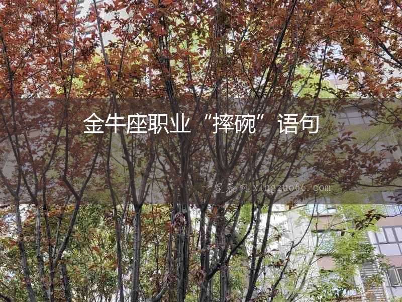 金牛座職業(yè)“摔碗”語句