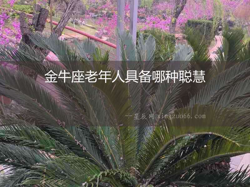 金牛座老年人具備哪種聰慧