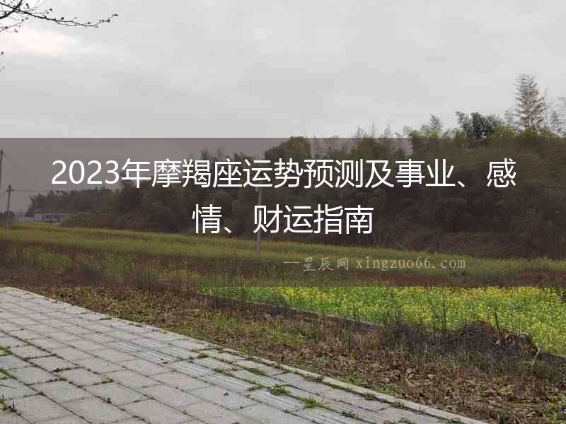 2023年摩羯座運勢預測及事業、感情、財運指南